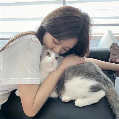 姐妹四城